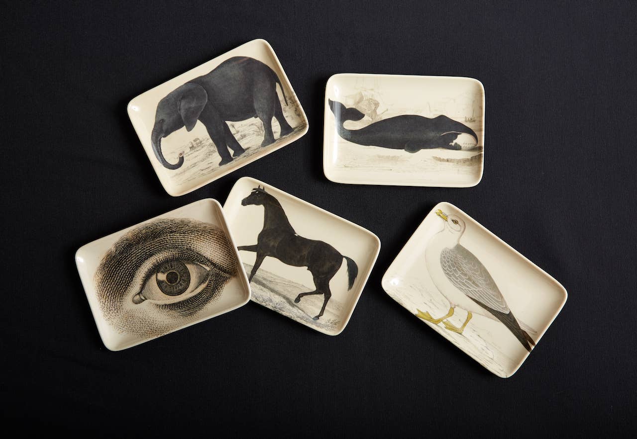 Pachyderm Valet Tray