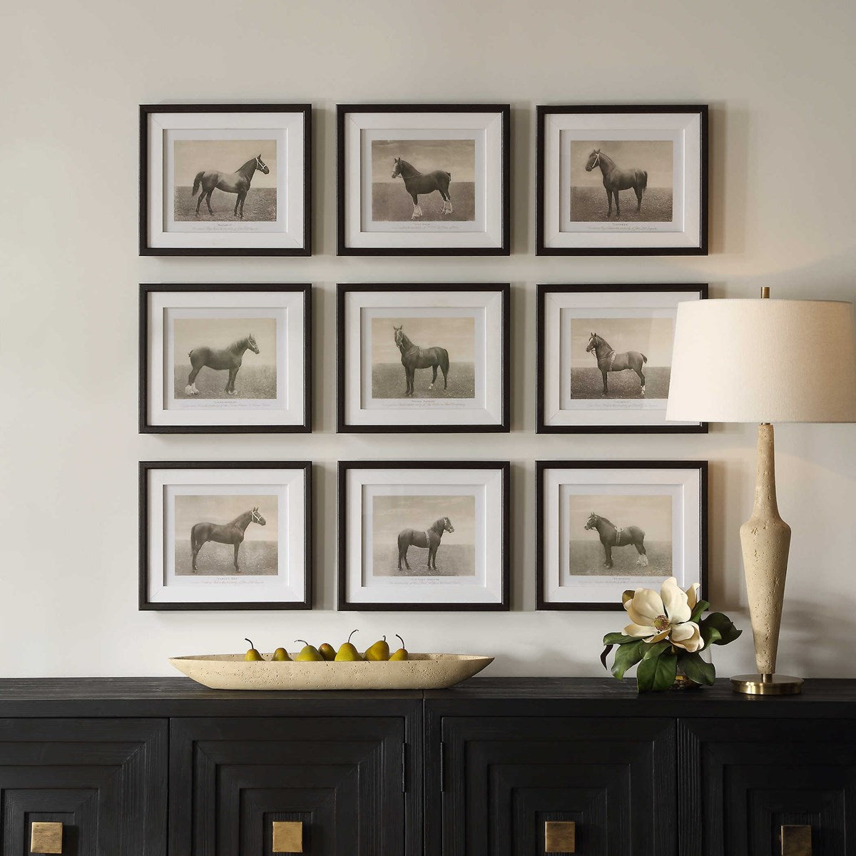 Equine Dynasty Framed Prints