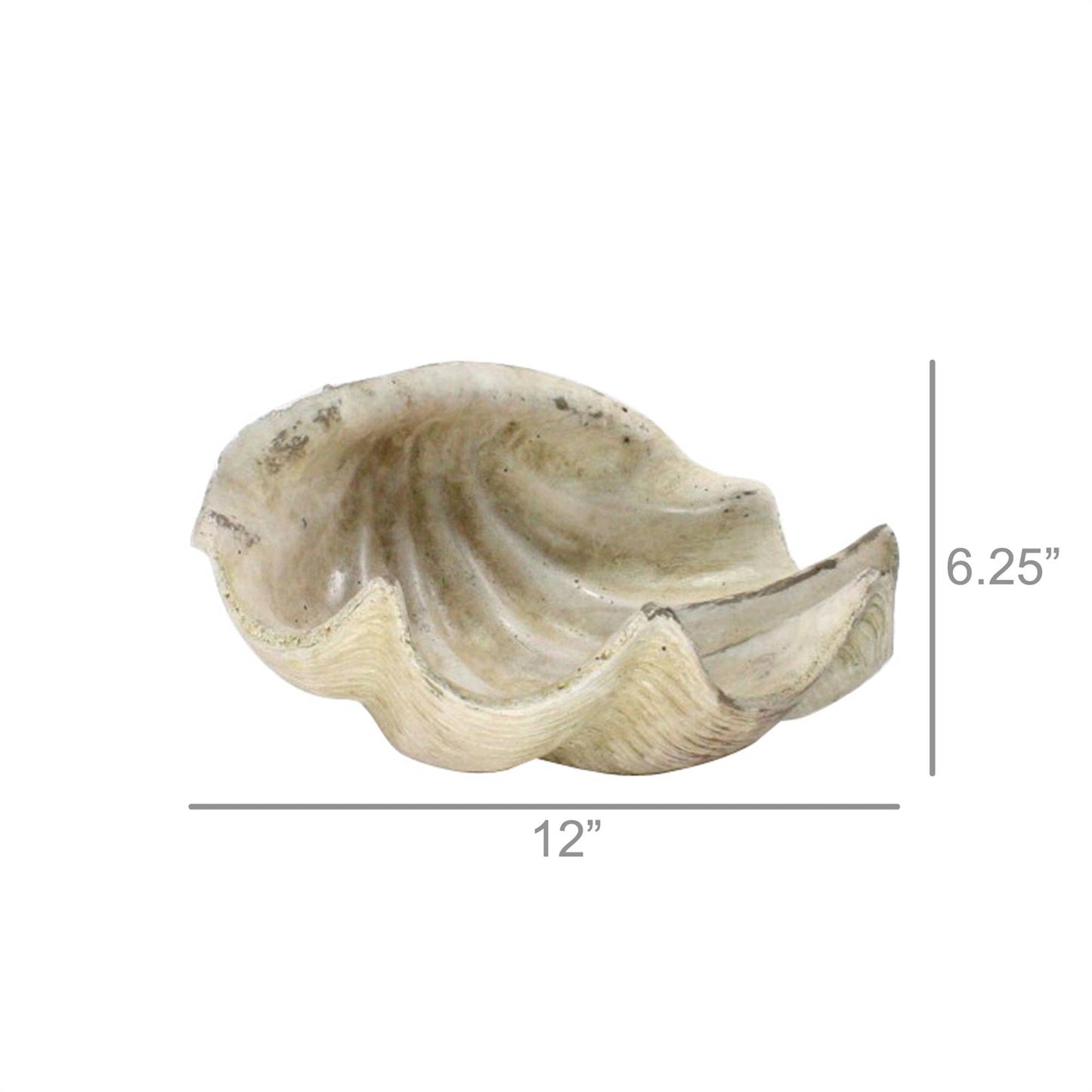 Cement Cast Clam Shell - Antique White