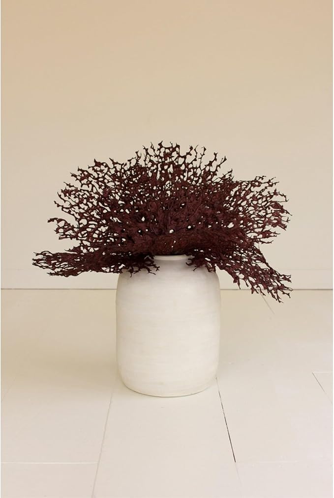 Botanica 2808