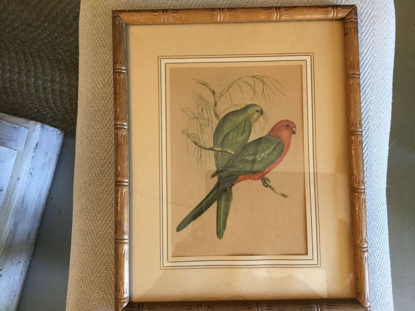 Parrots Print