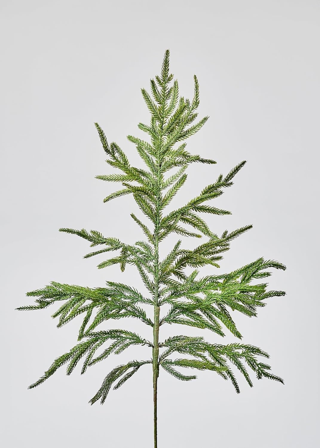 Real Touch Norfolk Pine Branch