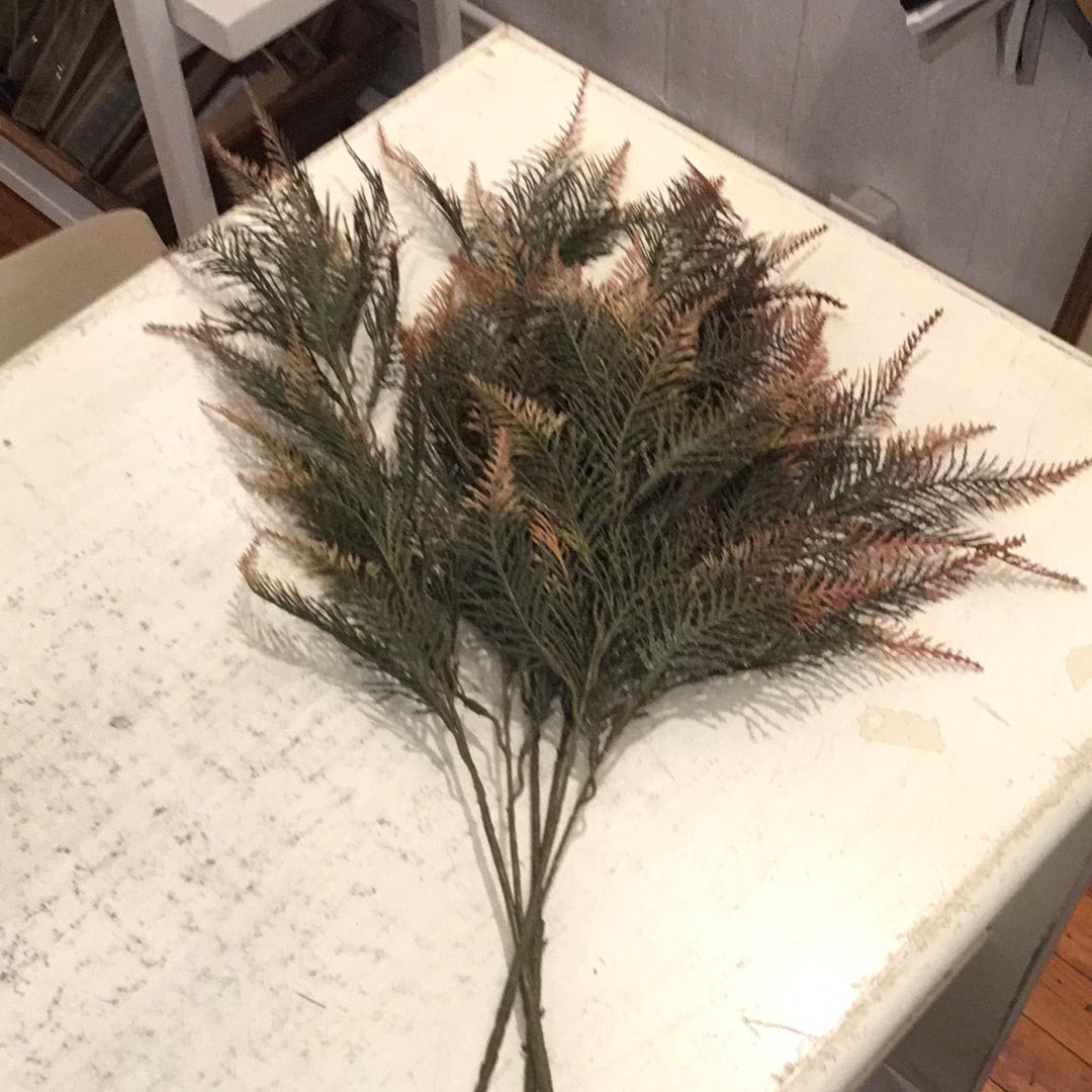 Autumn Pine