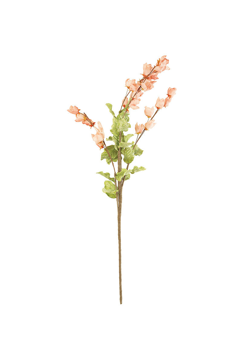 Botanica #3188
