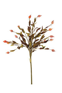Botanica #2398