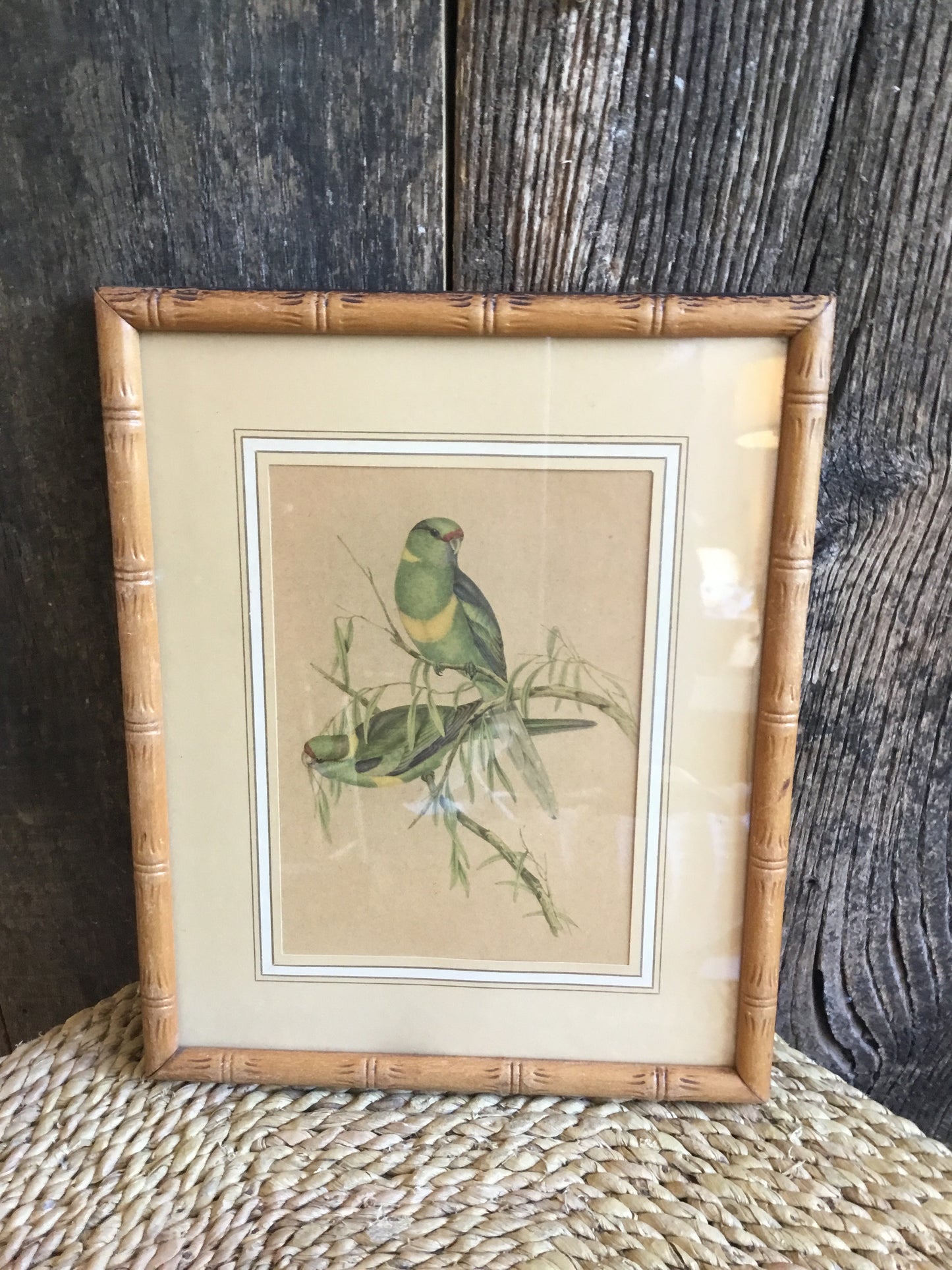 Parakeets Print