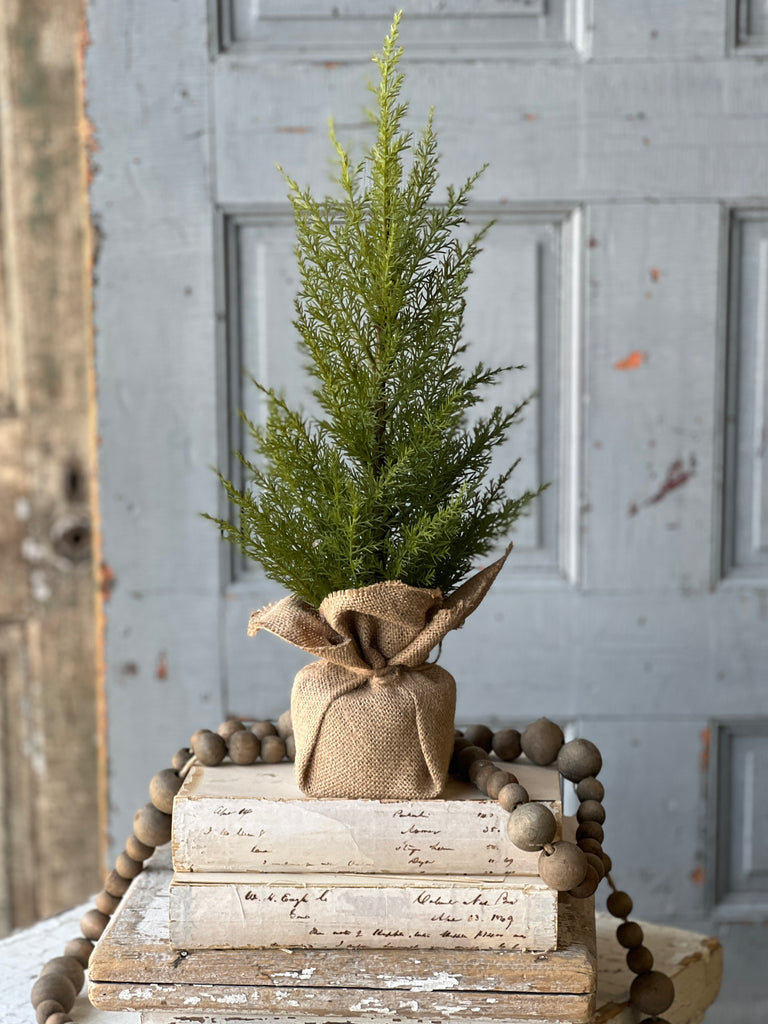 Fine Cedar Tree 18"