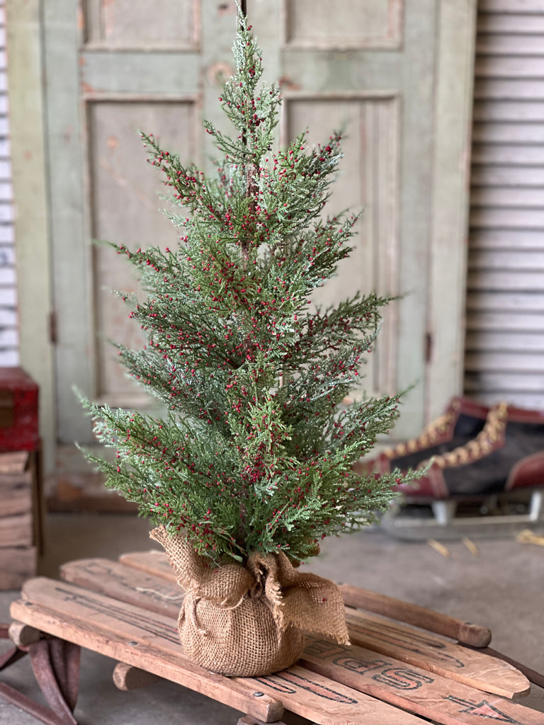 Dashing Cedar & Berry Tree 24"
