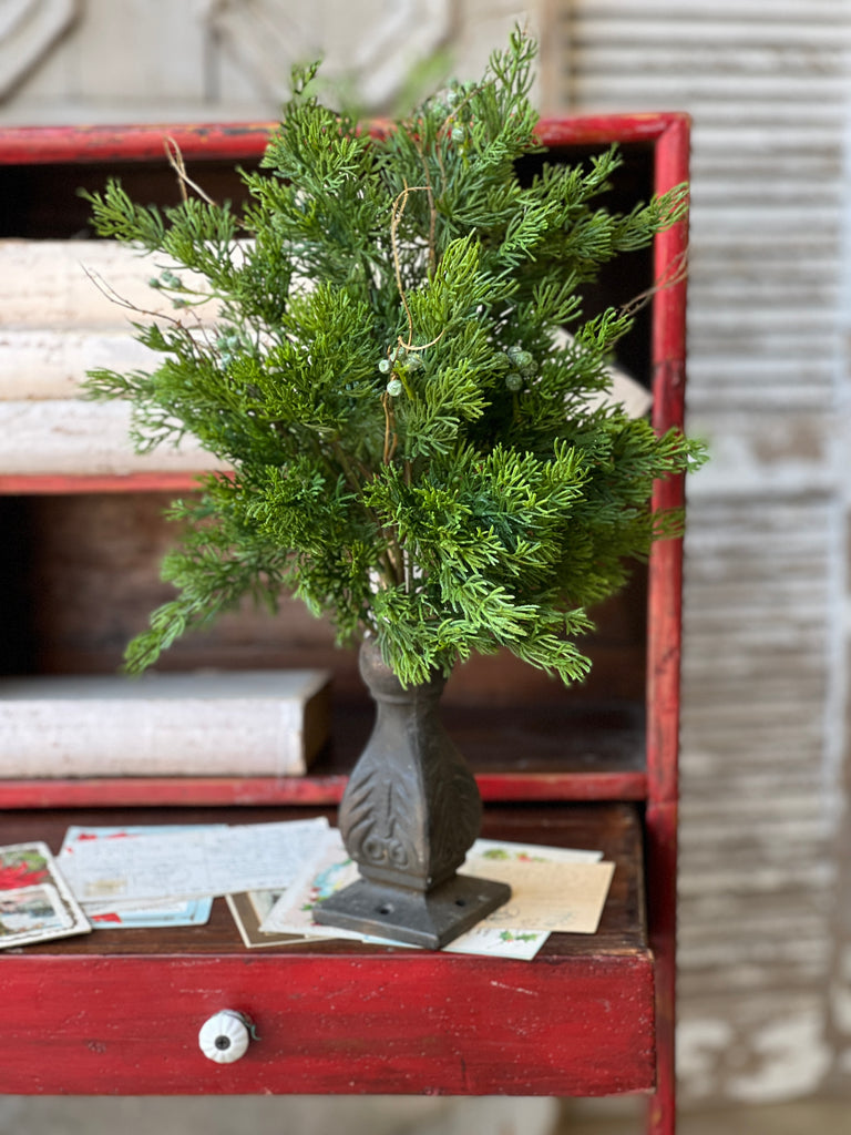 Dripping Cedar Bush | 17"