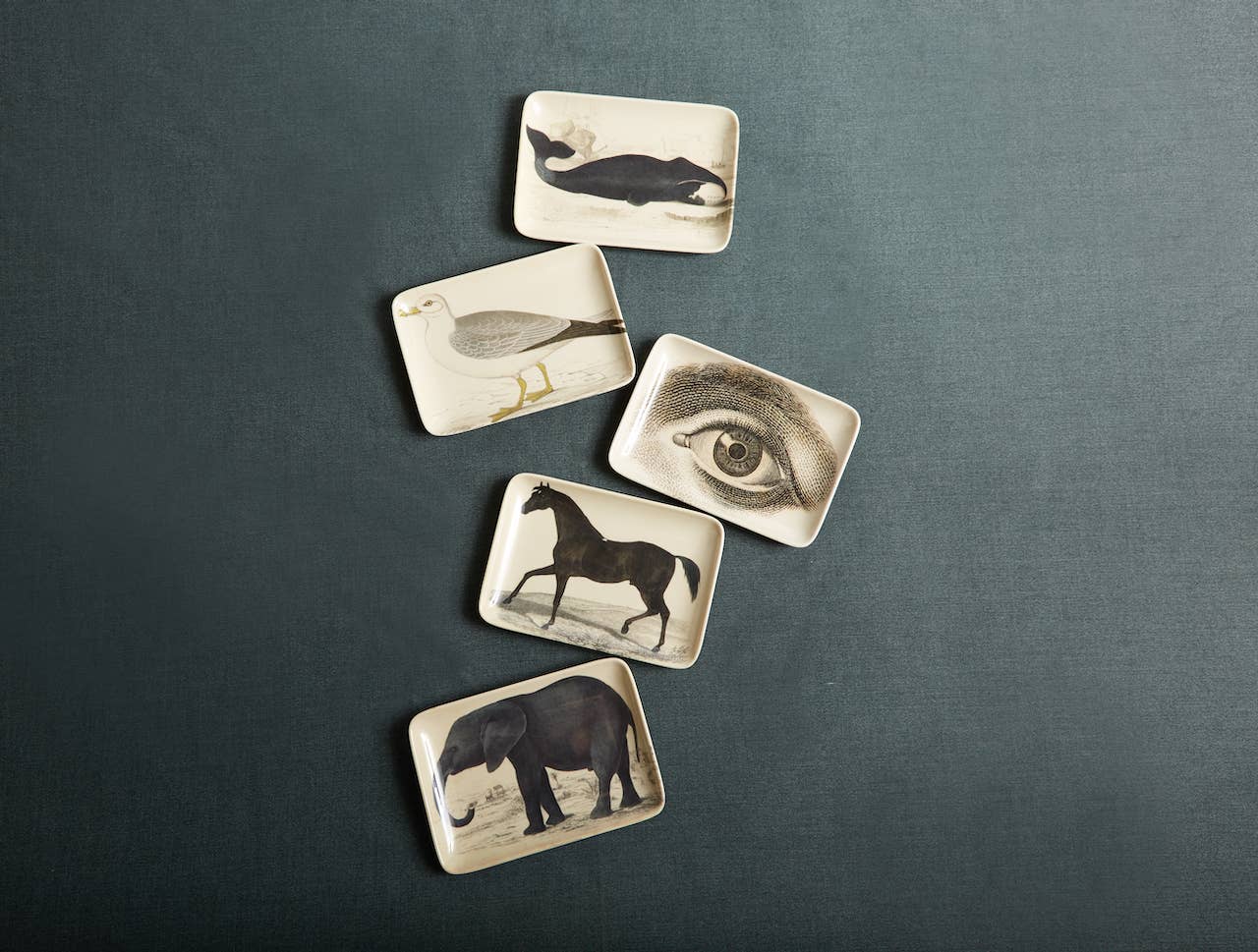 Stallion Valet Tray