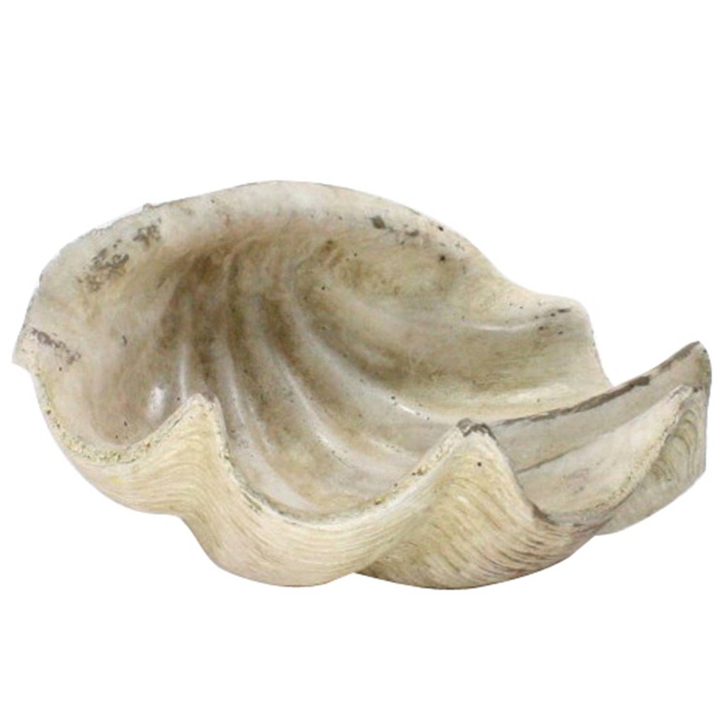 Cement Cast Clam Shell - Antique White
