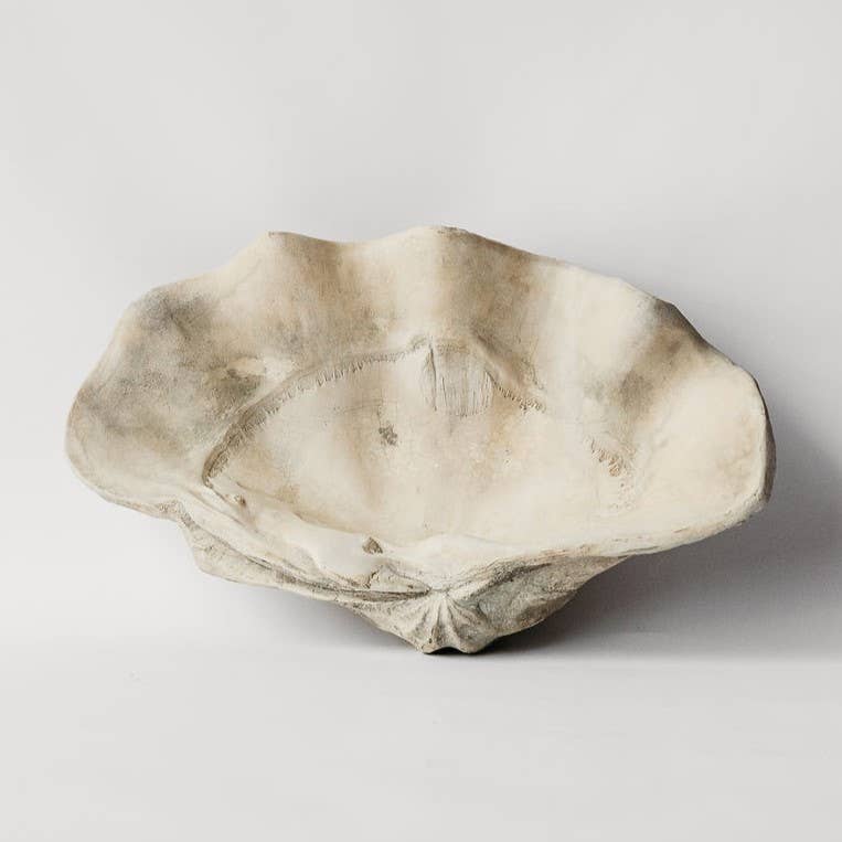 Large Clam Shell