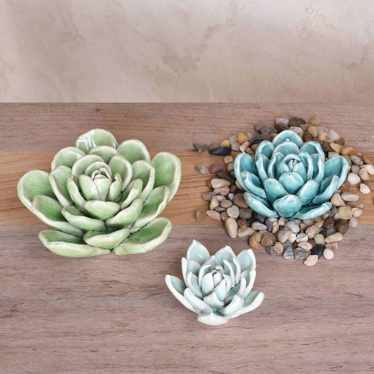 Ceramic Succulent - Med