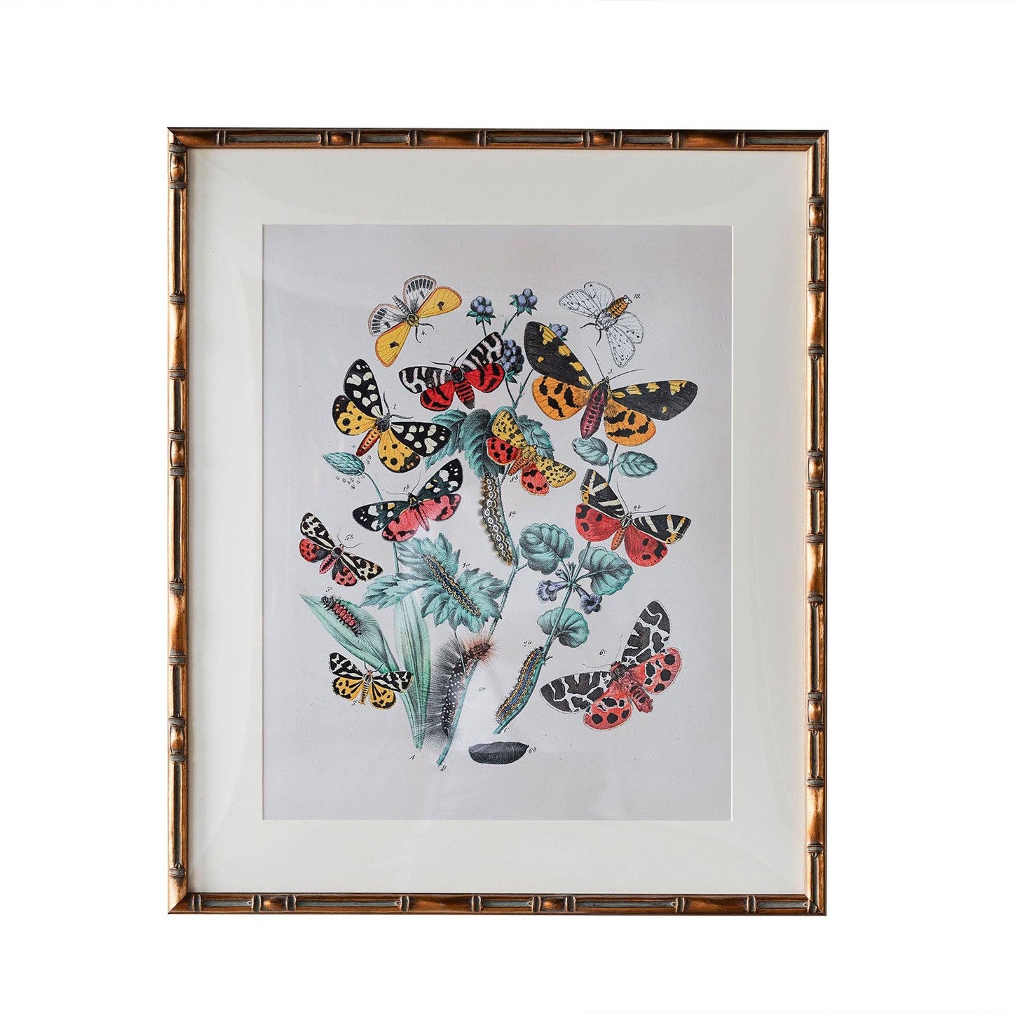 Burnley Matted Frame