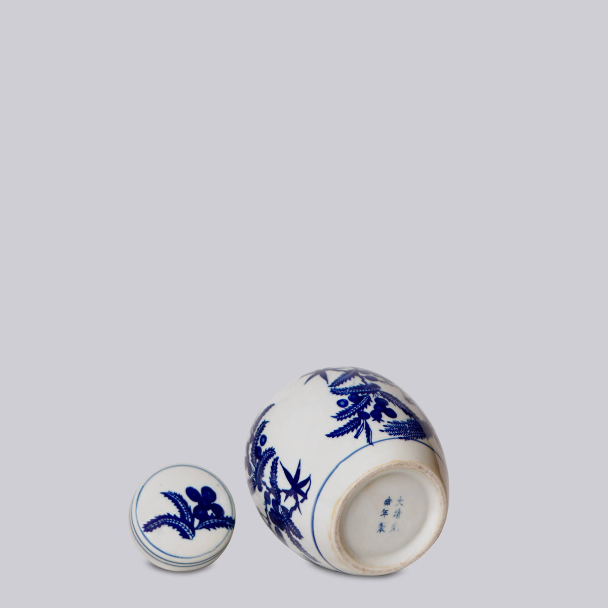 Blue and White Porcelain Bird and Flower Round Jar