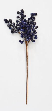 Viburnum Berry Pick