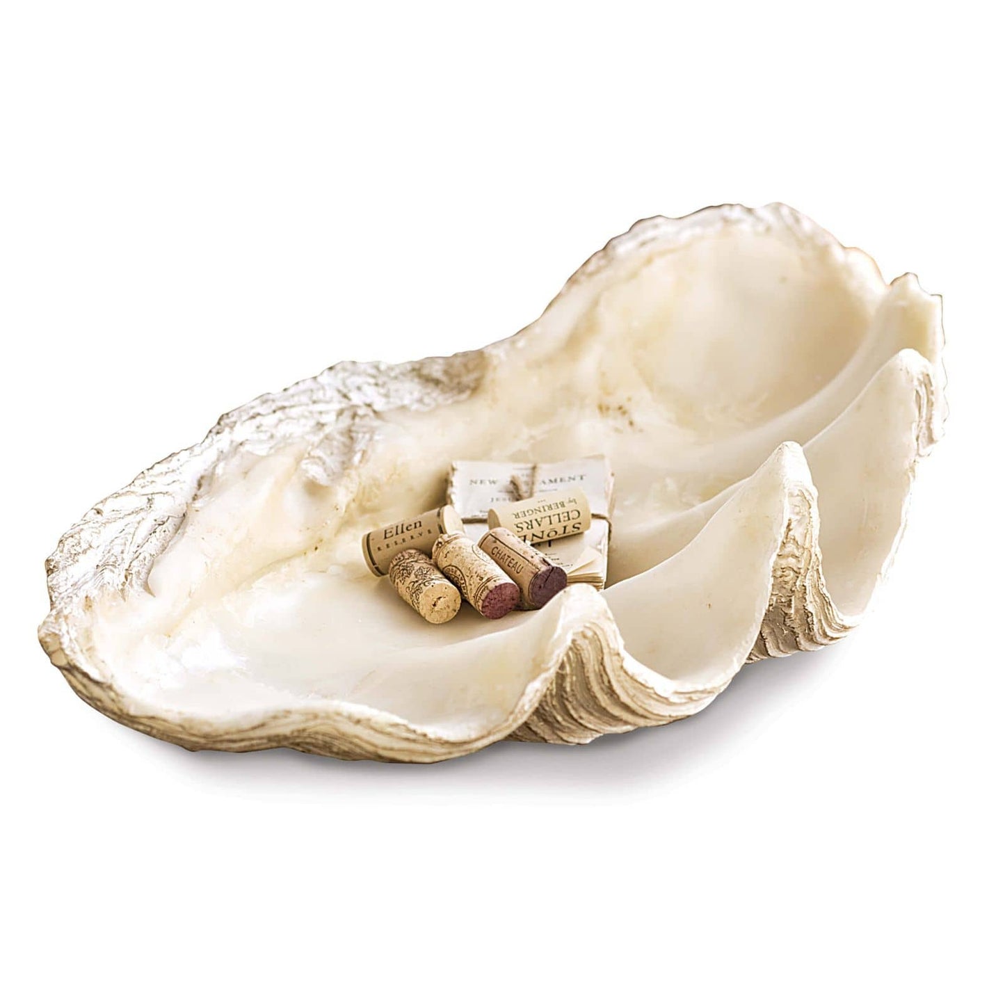 Imperial Clam, Large