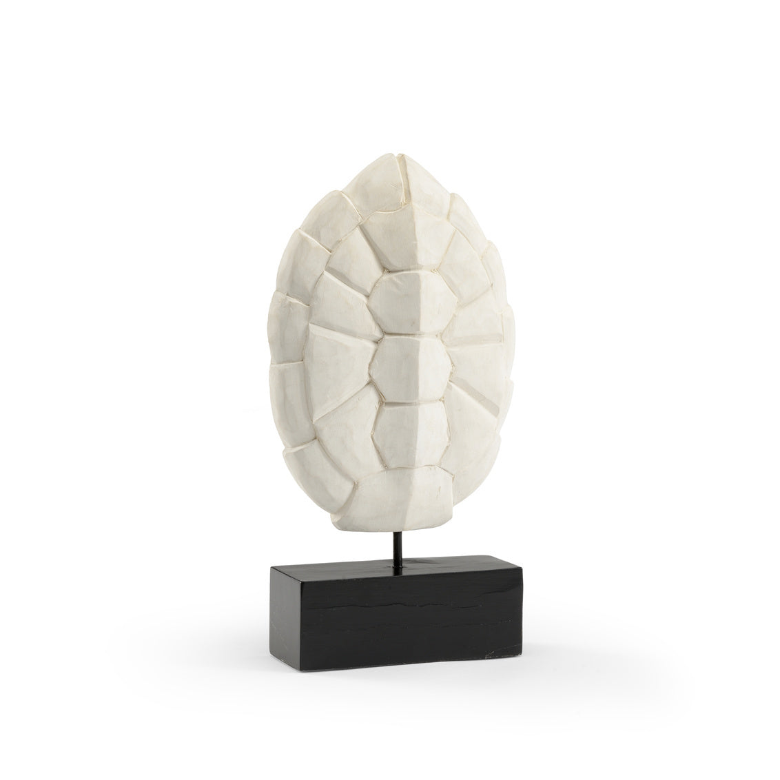 Carved Tortoise Shell