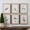 Green Floral Botanical Study- Set of 2