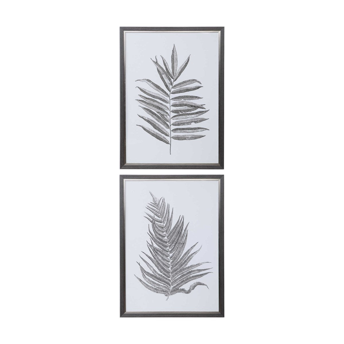 Silver Fern Framed Print