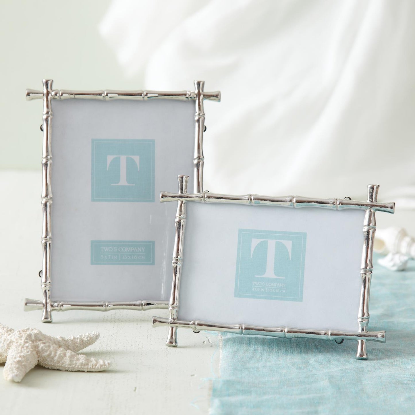Silver Bamboo Frames