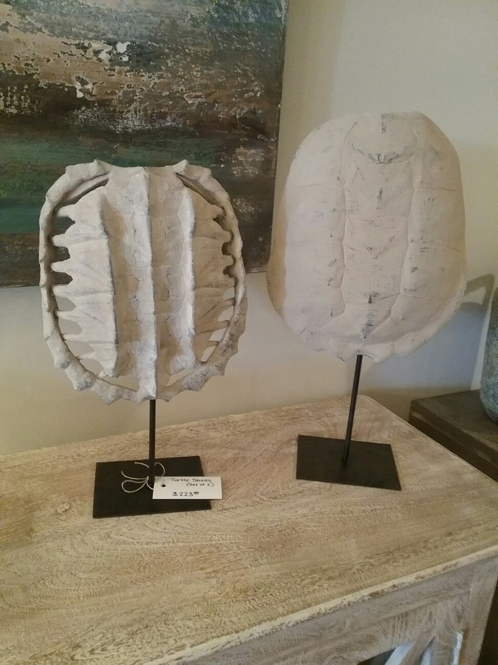 Turtle Shells (Set Of 2)