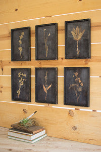 Botanical Prints in Vintage Frame