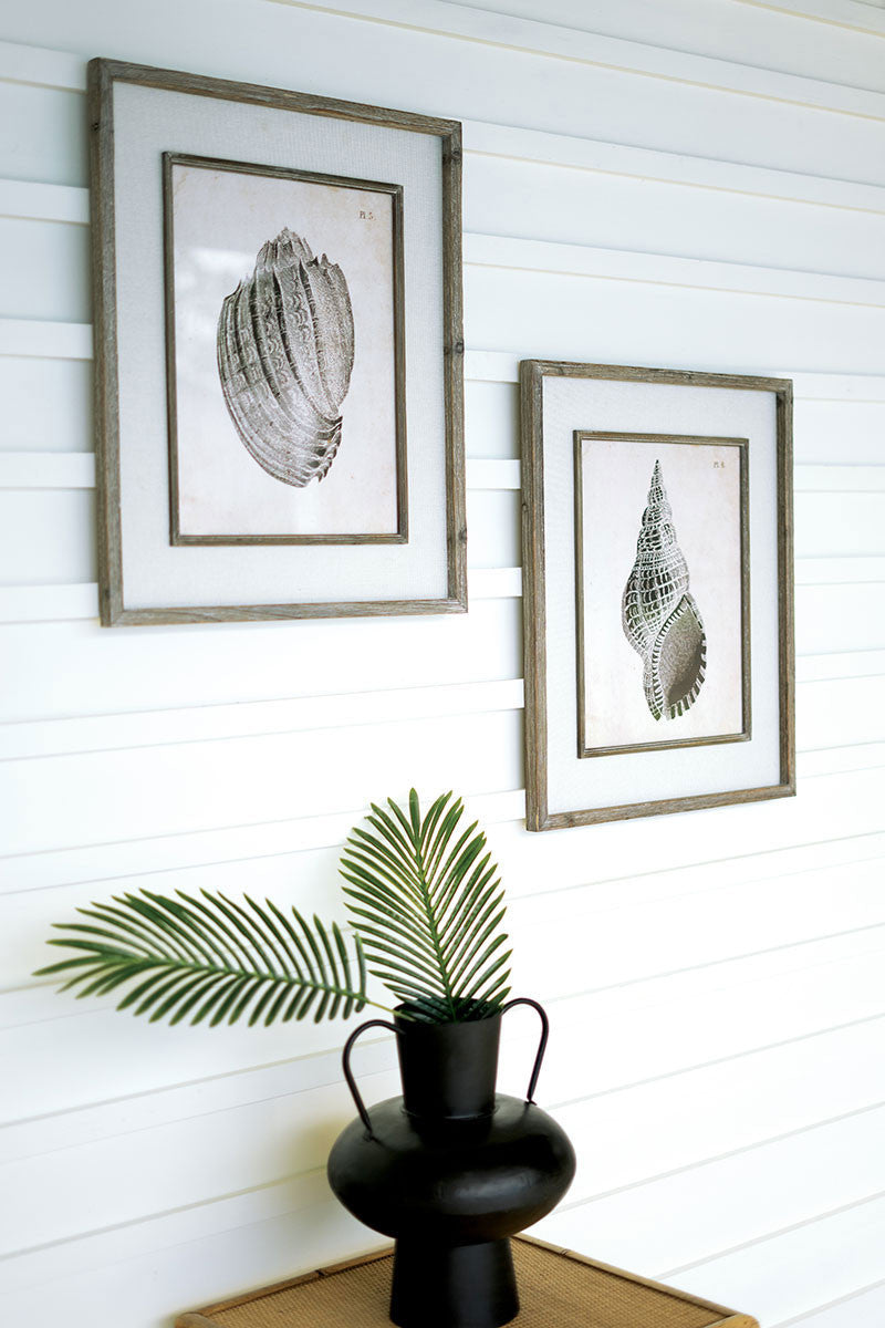 Framed Shell Prints - Set of 2