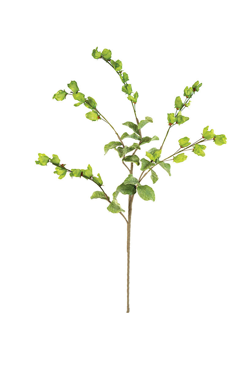 Botanica 3187