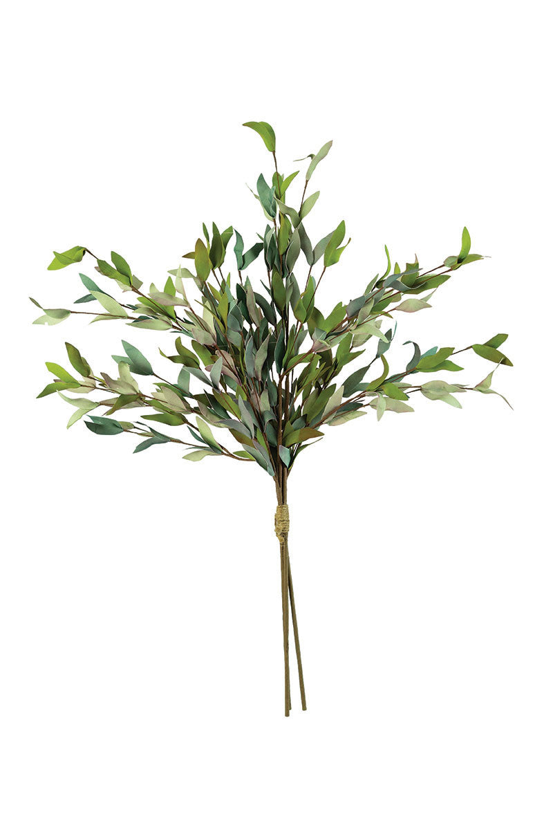 Tri Colored Branch