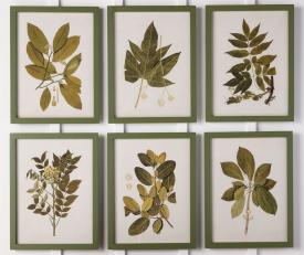 Framed Spring Leaves - SETS OF 2