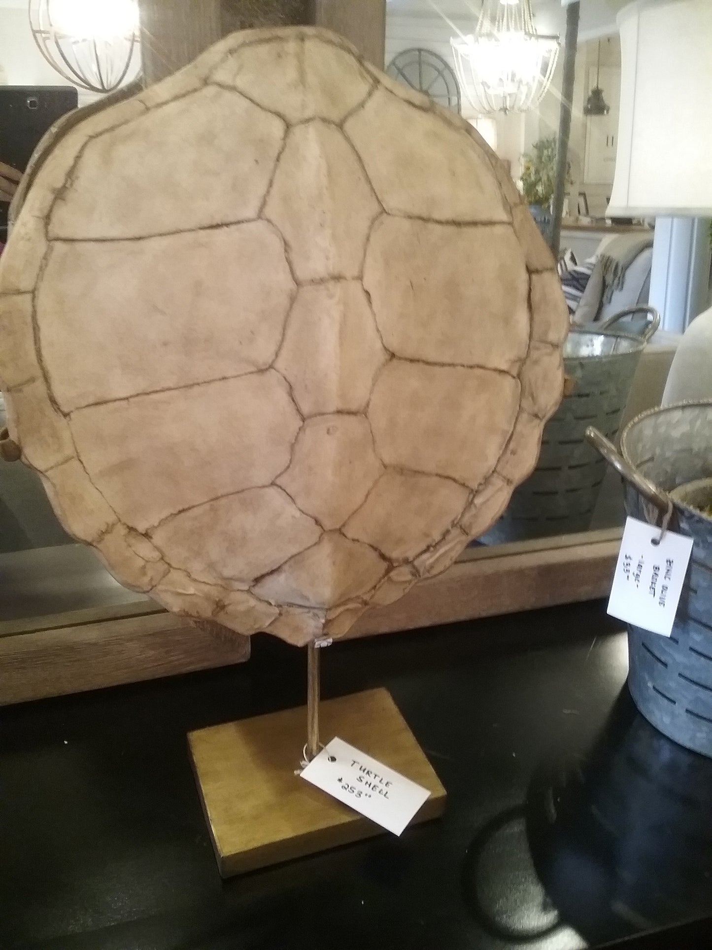Faux Tortoise Shell