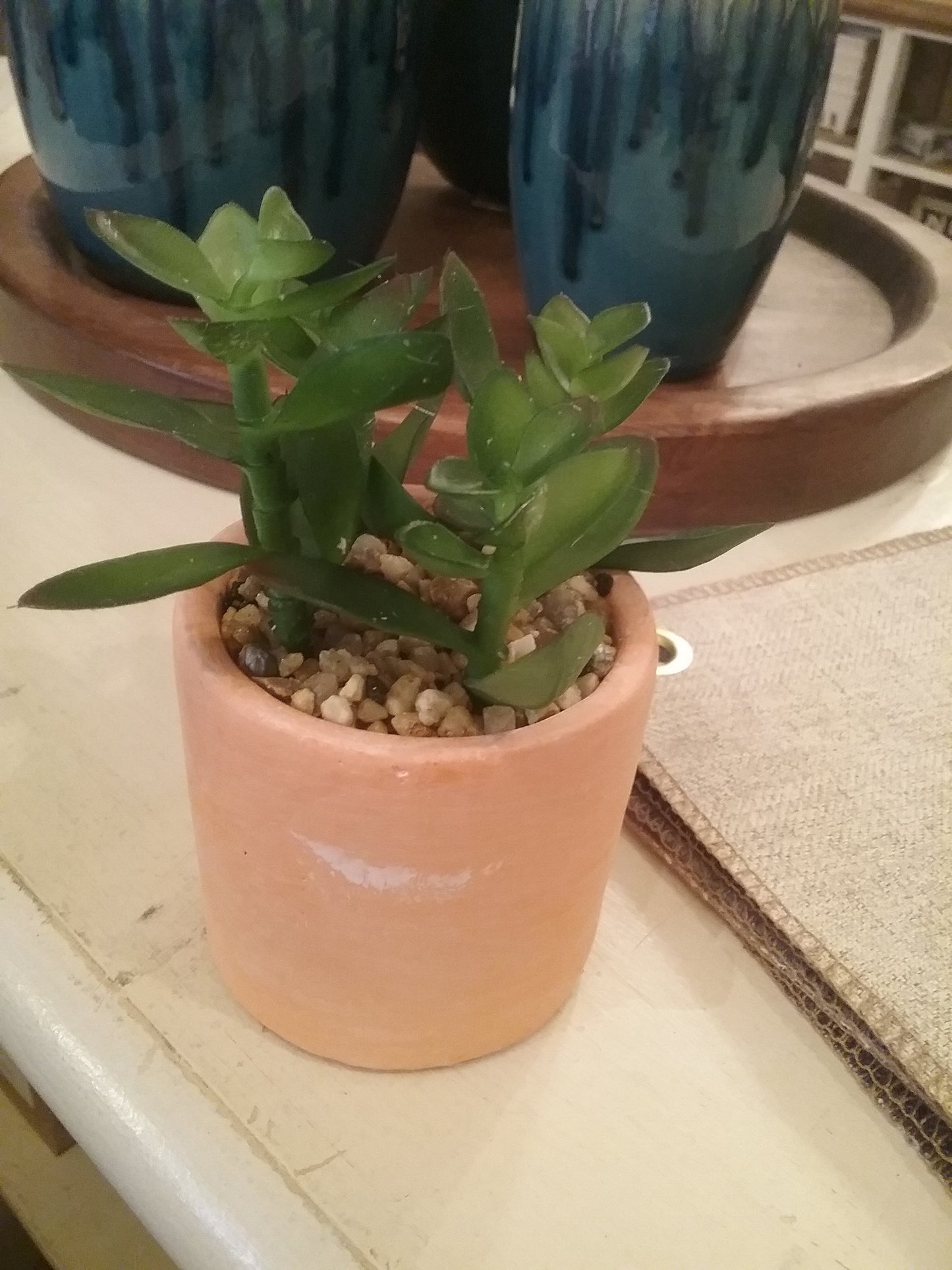 Terracotta Succulents