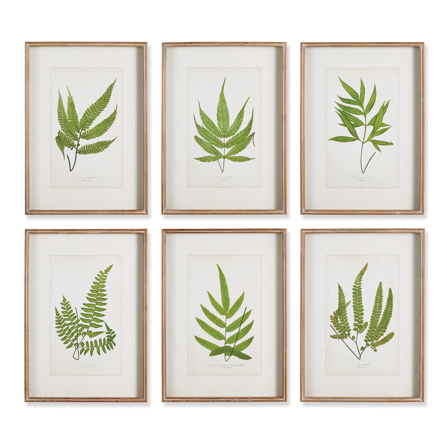 Forest Greenery Prints (sets of 2)