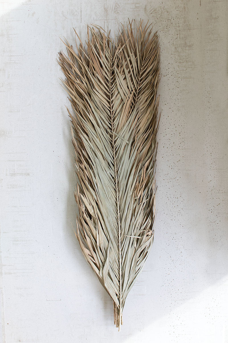 Date Palm Bundle