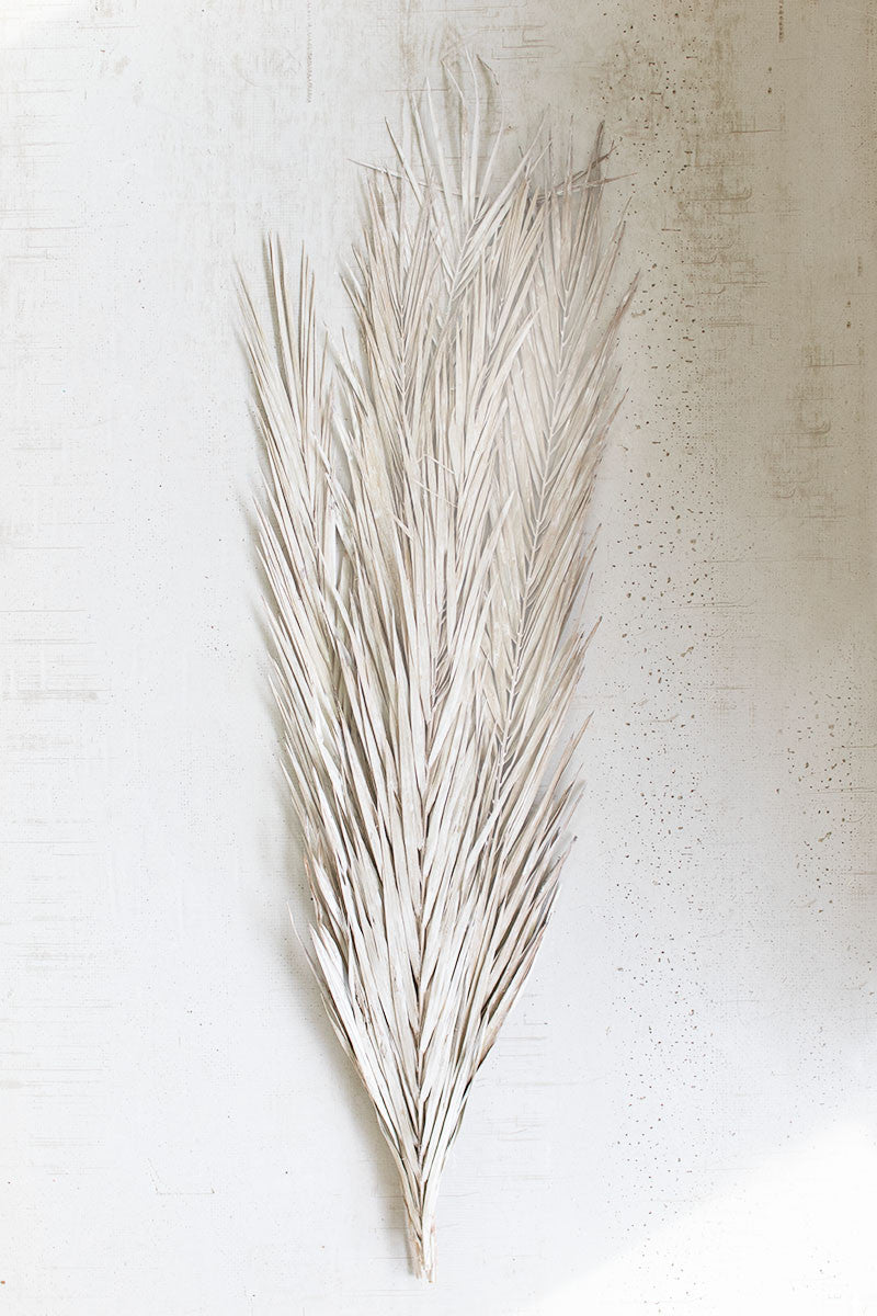 Frosted Bundle of Palm Leaves