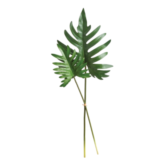 Split Leaf Selloum Stems - Bundle of 2