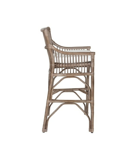 Winston Rattan Counter Stool