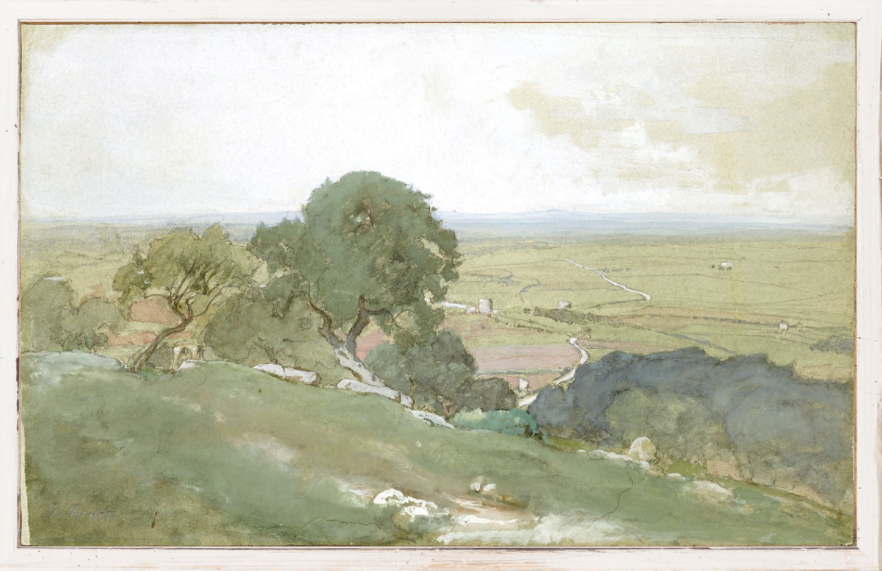 Petite Scapes - Olive Trees at Tivoli