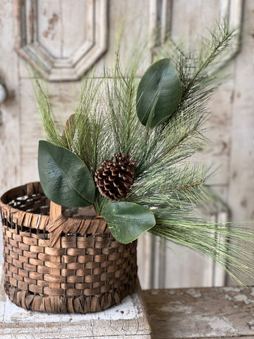 Mixed Pine & Magnolia Spray