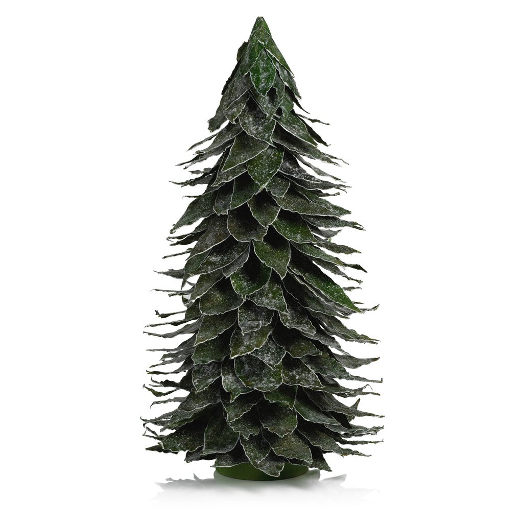 Natural Mahogany Leaf Tree