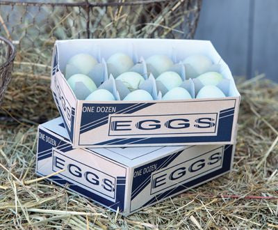 Araucana Egg