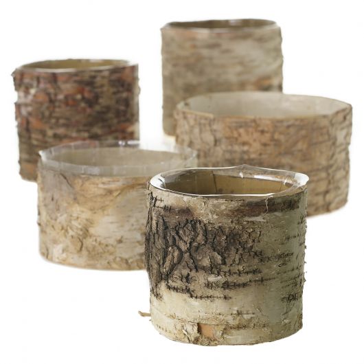 Birch Pots