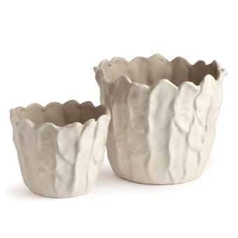 Cabbage Cachepot