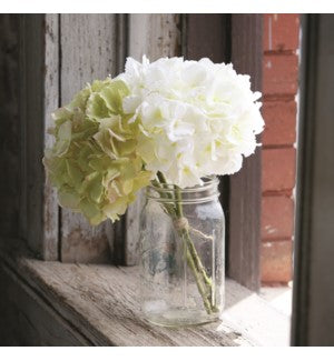 Hydrangea Bundle