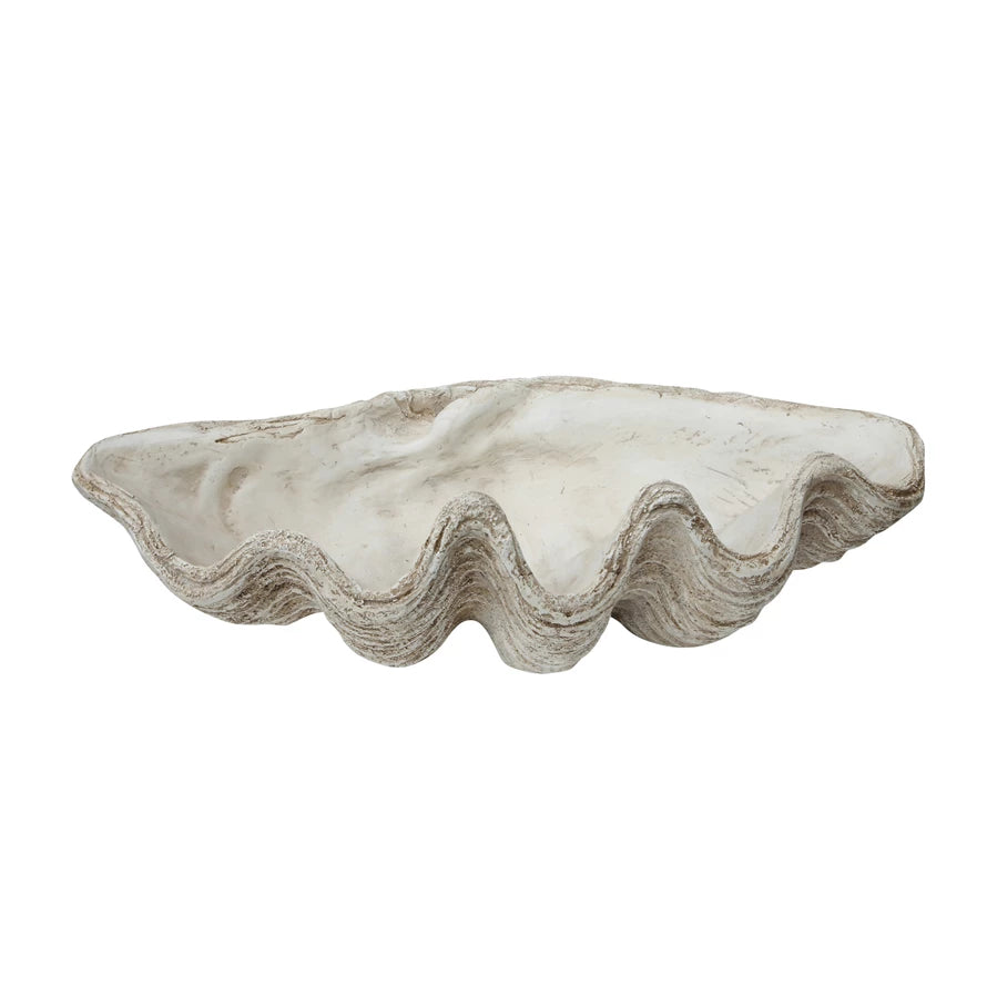 Magnesia Seashell