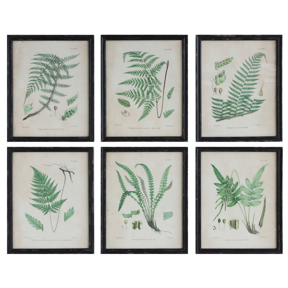 Vintage Reproduction Fern Art - Set of 2