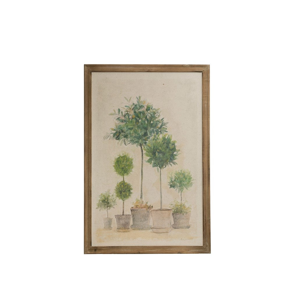 Wood Framed Boxwood and Topiary in Pots