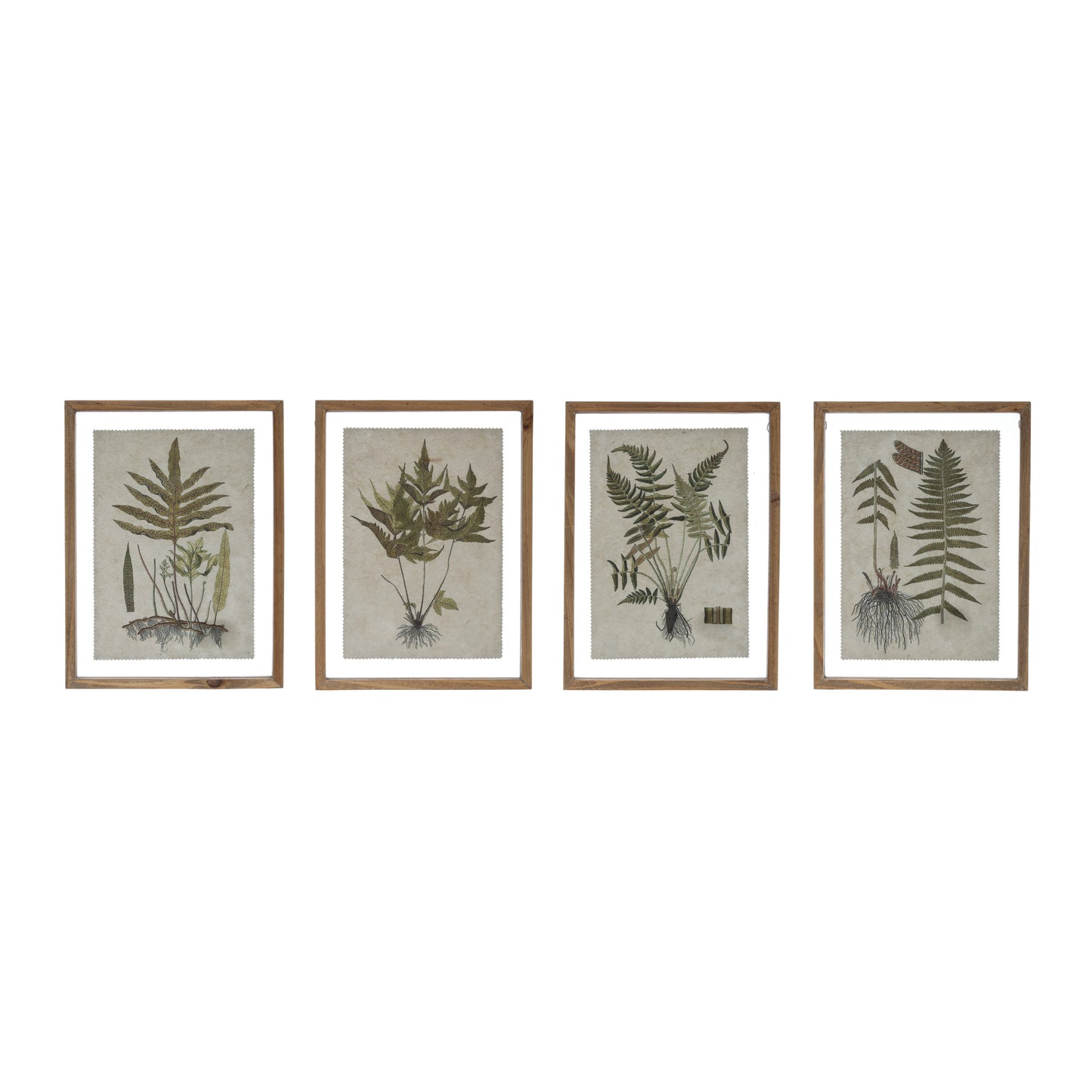 Floating Framed Botanical Print, Sold Ind.