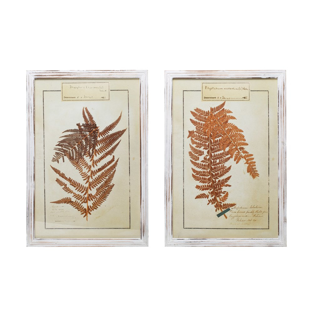 Wood Framed Fern Print